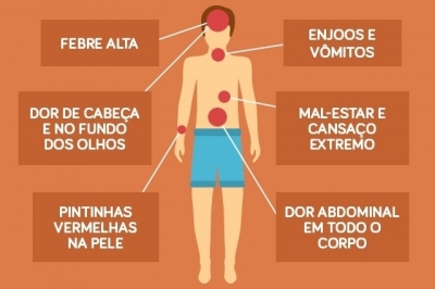 Dengue tipo 4: principais sintomas e tratamento