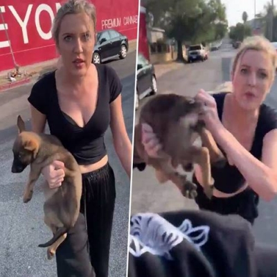 Mulher descontrolada joga seu cachorro em um homem e depois o acusa de roubá-lo