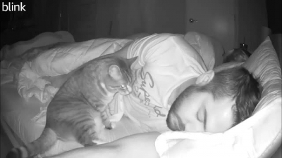Homem filma o que o seu gato faz de noite