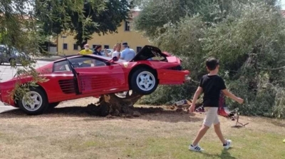 Motorista sobe em Ã¡rvore e destrÃ³i Ferrari