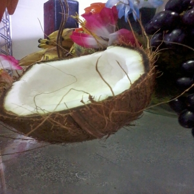 A riqueza do coco