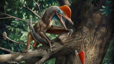 â€œMonkeydactylâ€: cientistas descobrem dinossauro voador com polegares opositores 
