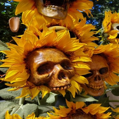 Artista cria incrível jardim de crânios de girassol
