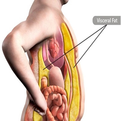 Alguns fatos sobre a gordura da barriga que Ã© bom saber