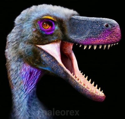 Ilustrações mostram como dinossauros realmente se pareciam