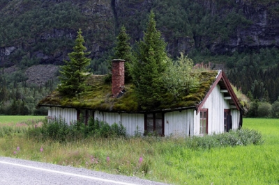 Imagens mostram coisas que só acontecem na Noruega