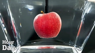 O que acontece se uma maçã ficar na água por 1 ano