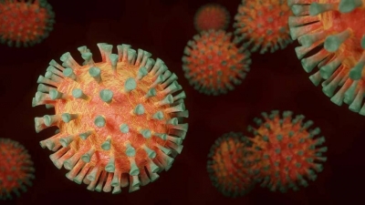 Cientistas de Stanford criam vacina, de nanopartÃ­culas, de dose Ãºnica para COVID