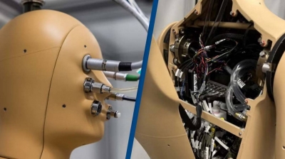 Conheça o robô Andi, que sua e treme para entender efeitos do calor extremo